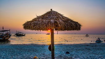 斯里兰卡 马尔代夫6晚8或9日游 广州直飞,含800元导服,兰卡升级5星酒店,马代可补差价升沙屋 水屋,加勒古堡,高跷渔夫,小火车 出发 途牛