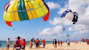 2人独立成团,单车单导,国四酒店,纯玩无购物,海豚浪漫之旅, green school 森林学校,含散客机票 出发 途牛