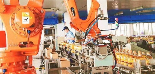 九三集团 打造 国际粮油食品综合运营商