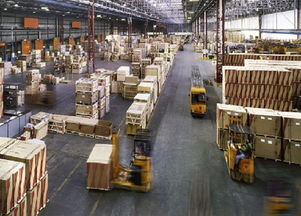 成功卖家丨一年完成转型,成就3 5倍销量增速,你是否也想拥有开挂式的体验