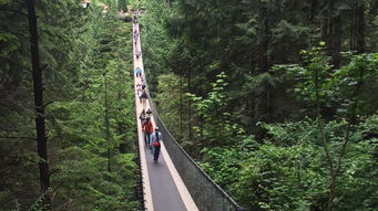 美国东西海岸 加拿大18日游 预售优惠,0小费,拒签无忧,黄石 大提顿 大峡谷,大瀑布,网红吊桥,国会山庄入内,双游船,品美酒,探访名校 北京 出发 途牛